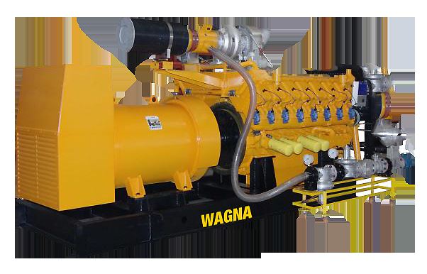  Biogas Generator Biogas Generator With CSA